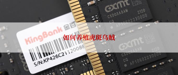 如何养殖虎斑乌贼