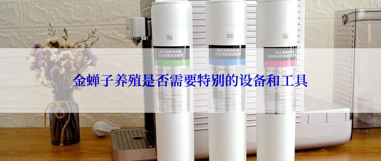 金蝉子养殖是否需要特别的设备和工具