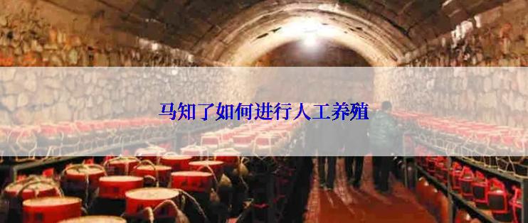 马知了如何进行人工养殖