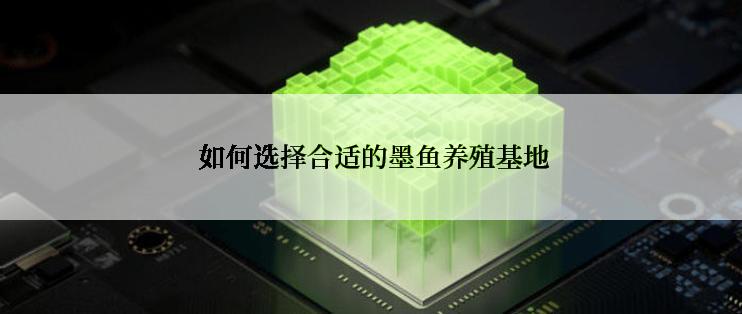  如何选择合适的墨鱼养殖基地
