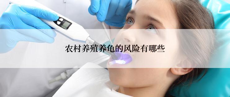 农村养殖养龟的风险有哪些