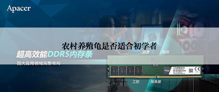 农村养殖龟是否适合初学者