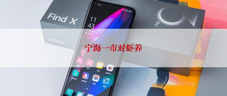 宁海一市对虾养