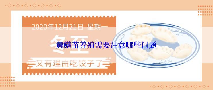 黄鳝苗养殖需要注意哪些问题