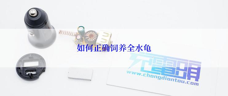 如何正确饲养全水龟