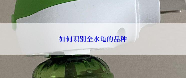 如何识别全水龟的品种
