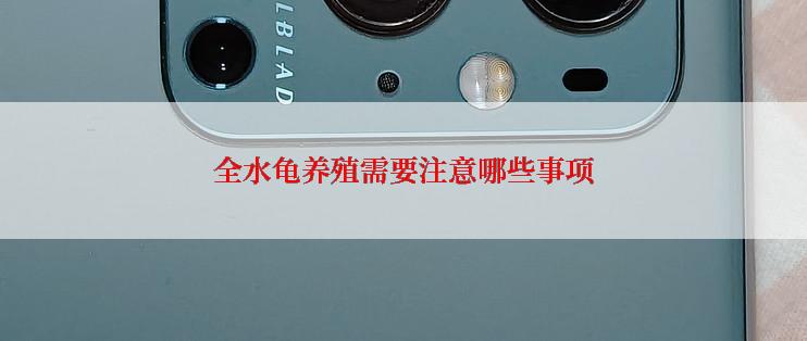 全水龟养殖需要注意哪些事项