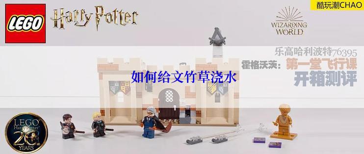  如何给文竹草浇水
