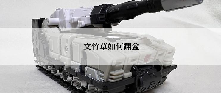  文竹草如何翻盆