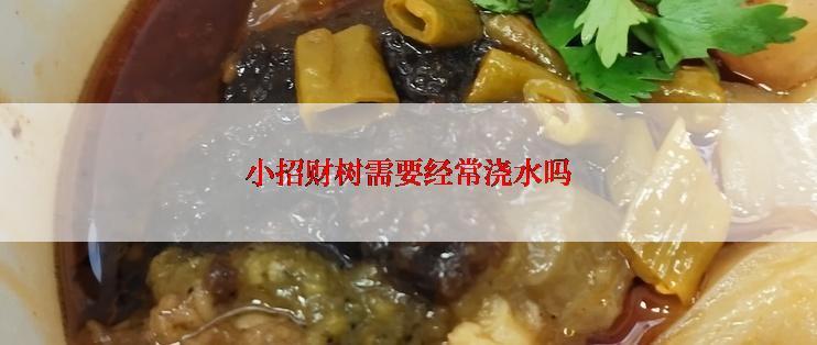 小招财树需要经常浇水吗