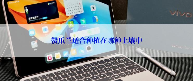 蟹爪兰适合种植在哪种土壤中