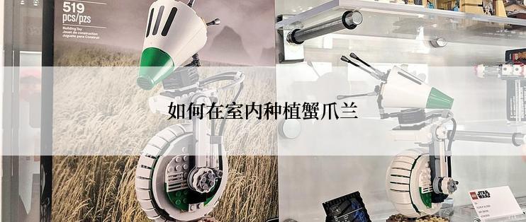 如何在室内种植蟹爪兰