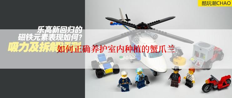 如何正确养护室内种植的蟹爪兰