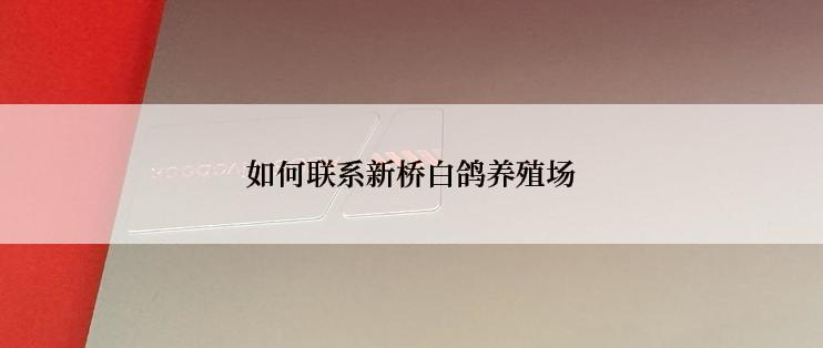 如何联系新桥白鸽养殖场
