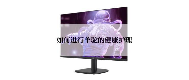 如何进行羊驼的健康护理