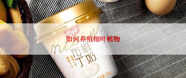如何养殖细叶植物