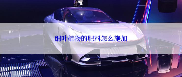 细叶植物的肥料怎么施加