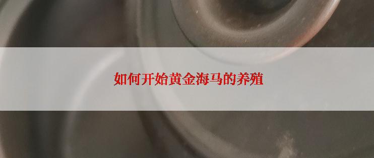  如何开始黄金海马的养殖