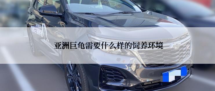 亚洲巨龟需要什么样的饲养环境