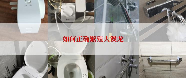 如何正确繁殖大澳龙