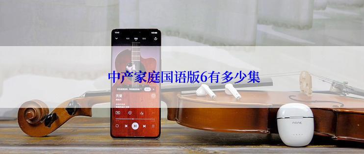  中产家庭国语版6有多少集