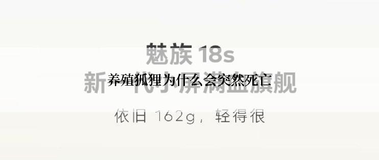 养殖狐狸为什么会突然死亡