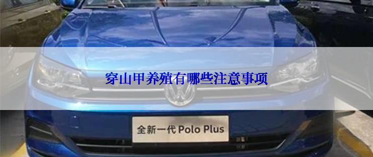 穿山甲养殖有哪些注意事项