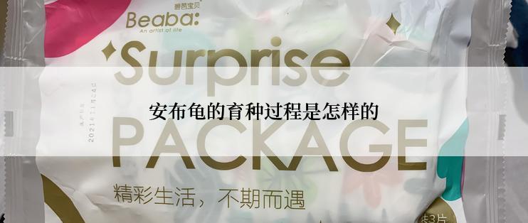 安布龟的育种过程是怎样的