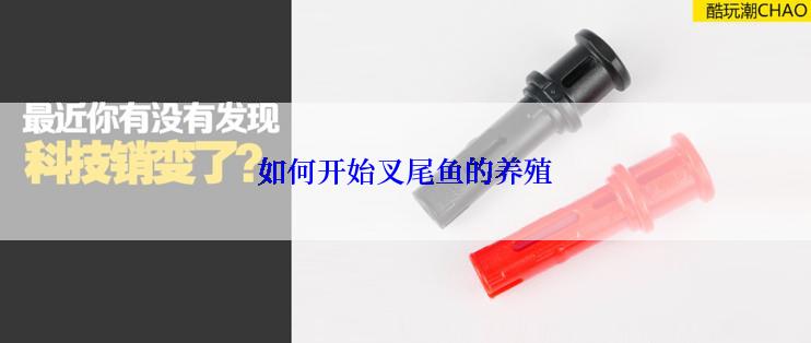 如何开始叉尾鱼的养殖