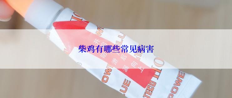 柴鸡有哪些常见病害
