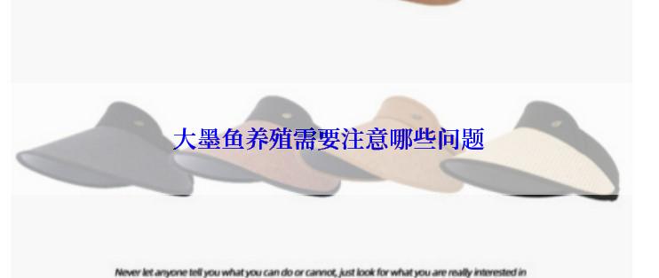 大墨鱼养殖需要注意哪些问题