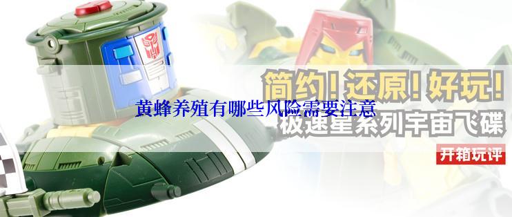 黄蜂养殖有哪些风险需要注意