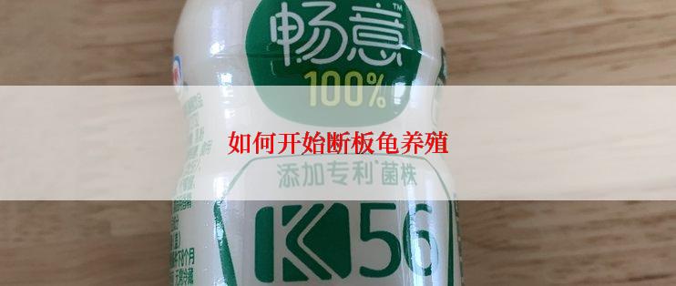 如何开始断板龟养殖