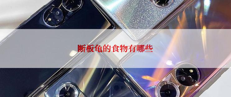 断板龟的食物有哪些