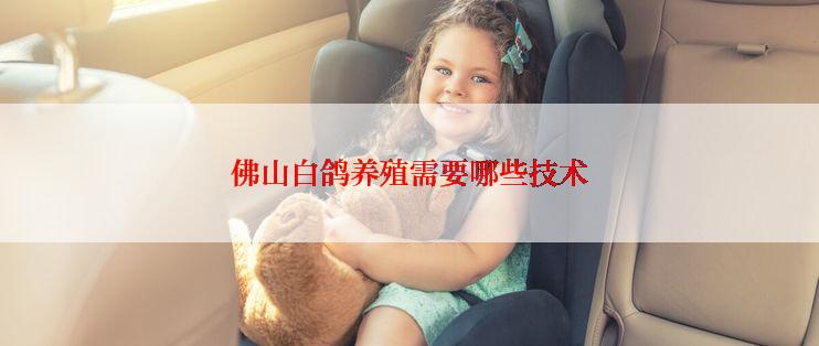 佛山白鸽养殖需要哪些技术