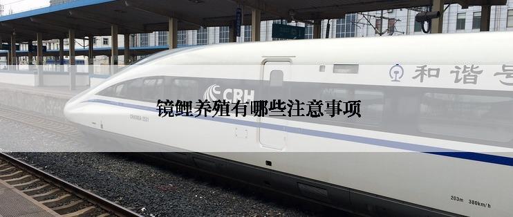  镜鲤养殖有哪些注意事项
