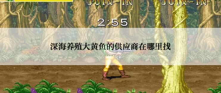 深海养殖大黄鱼的供应商在哪里找