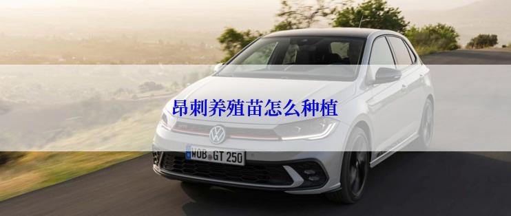 昂刺养殖苗怎么种植
