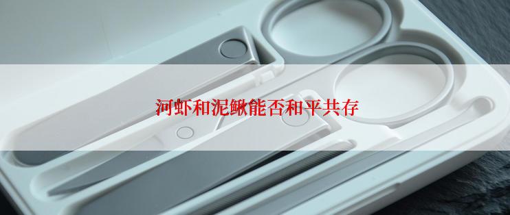  河虾和泥鳅能否和平共存