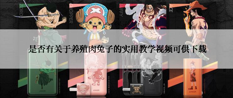  是否有关于养殖肉兔子的实用教学视频可供下载