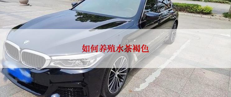 如何养殖水茶褐色