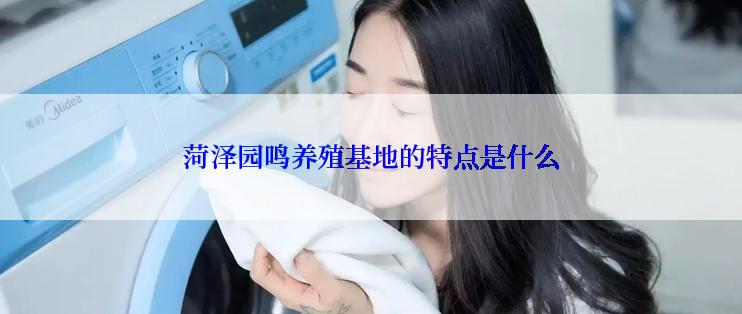 菏泽园鸣养殖基地的特点是什么