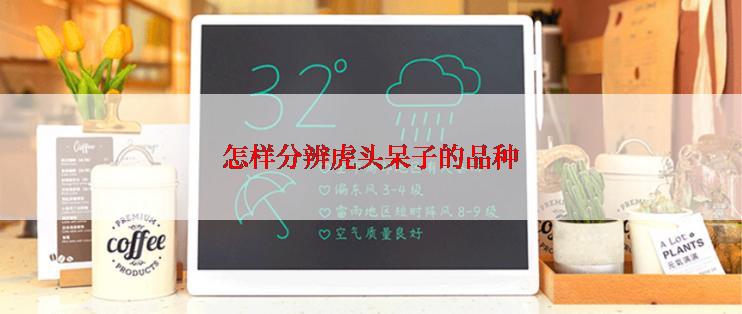 怎样分辨虎头呆子的品种