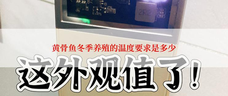 黄骨鱼冬季养殖的温度要求是多少