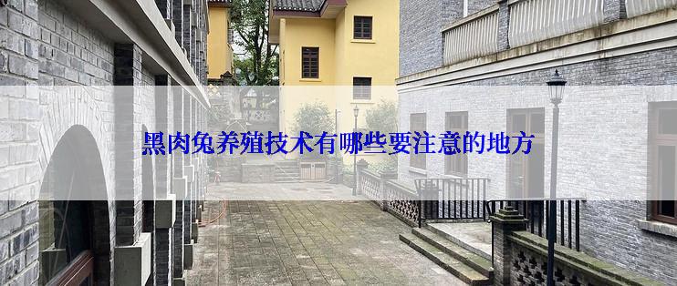黑肉兔养殖技术有哪些要注意的地方