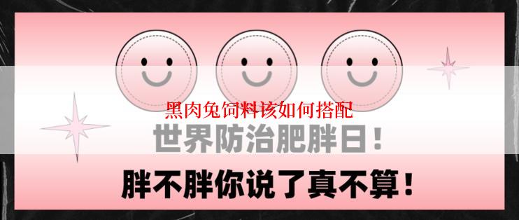 黑肉兔饲料该如何搭配