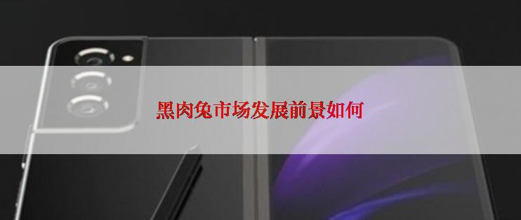 黑肉兔市场发展前景如何