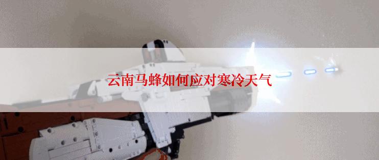 云南马蜂如何应对寒冷天气
