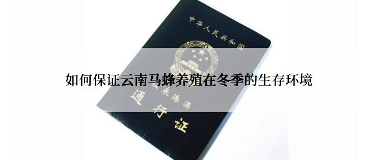 如何保证云南马蜂养殖在冬季的生存环境