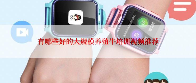 有哪些好的大规模养殖牛培训视频推荐